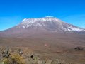 Kilimanjaro