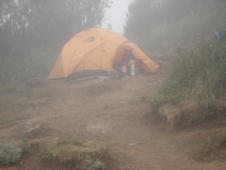 The Machame Camp site