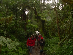 En route to Machame Camp