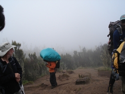 A Porter's load at Machame Camp