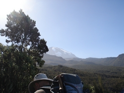 Kilimanjaro