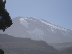 Kilimanjaro