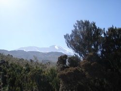 Kilimanjaro