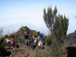 View on the rock from which we viewed Kili