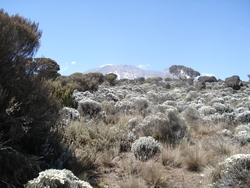 The Shira plateau