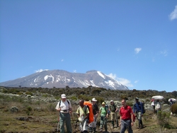 Kilimanjaro from Shira