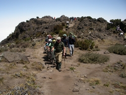 The group walking