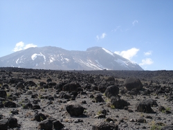 View of Kilimanjaro