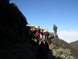 queue on breakfast wall