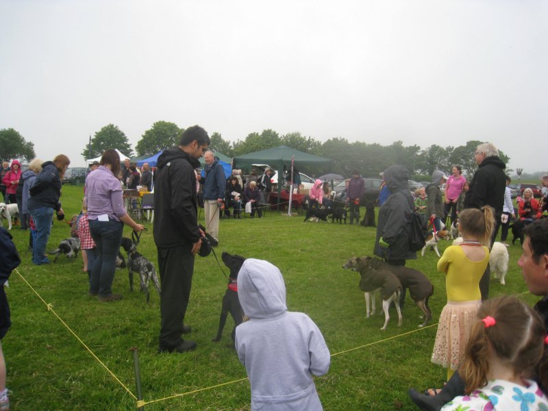 shirenewtonfete201539.jpg