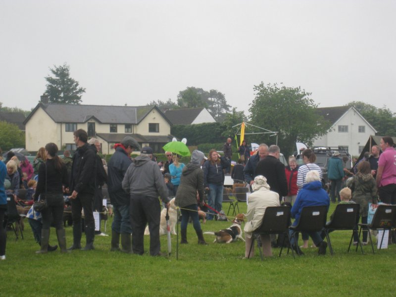 shirenewtonfete201545.jpg