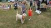 img_3450_small.jpg